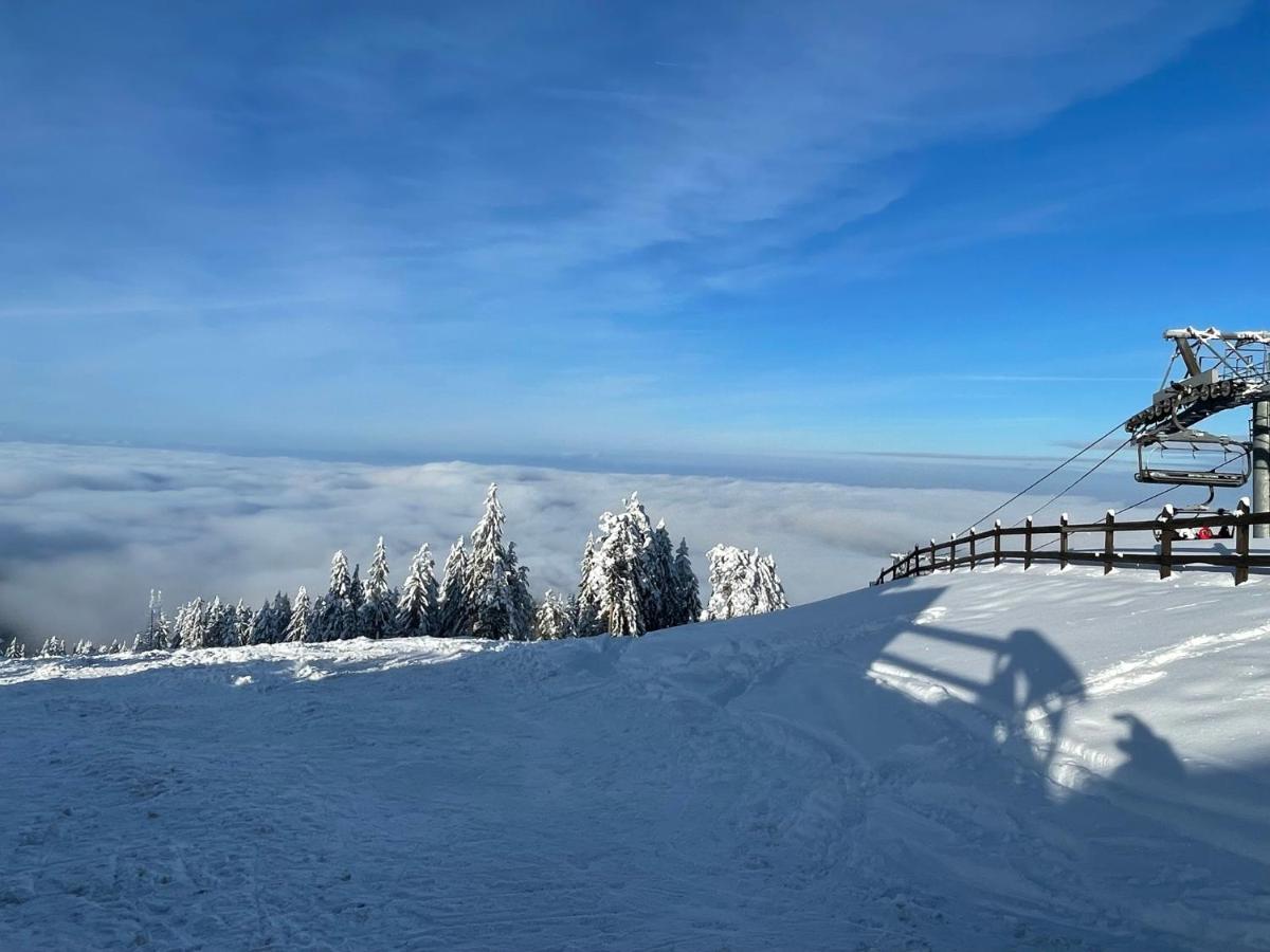 Apartmán Mm Sofy Palisat Exteriér fotografie